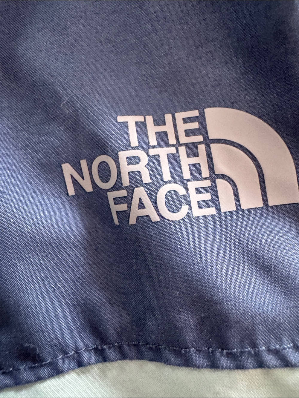 The North Face Boys Rash Guard Swim Set Blue Aqua Shorts Youth Large 14/16 UPF - Picture 2 of 11